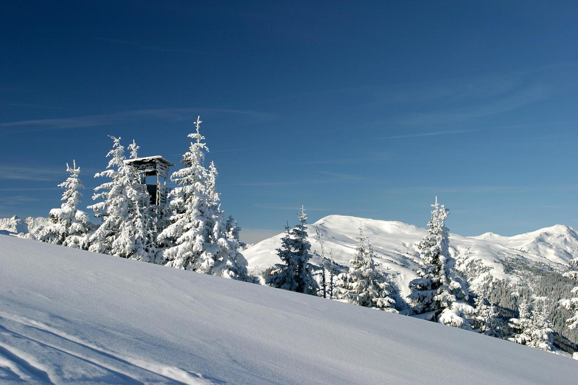 Hotel Dorfgasthof Schloesslstube Stuhlfelden Bagian luar foto